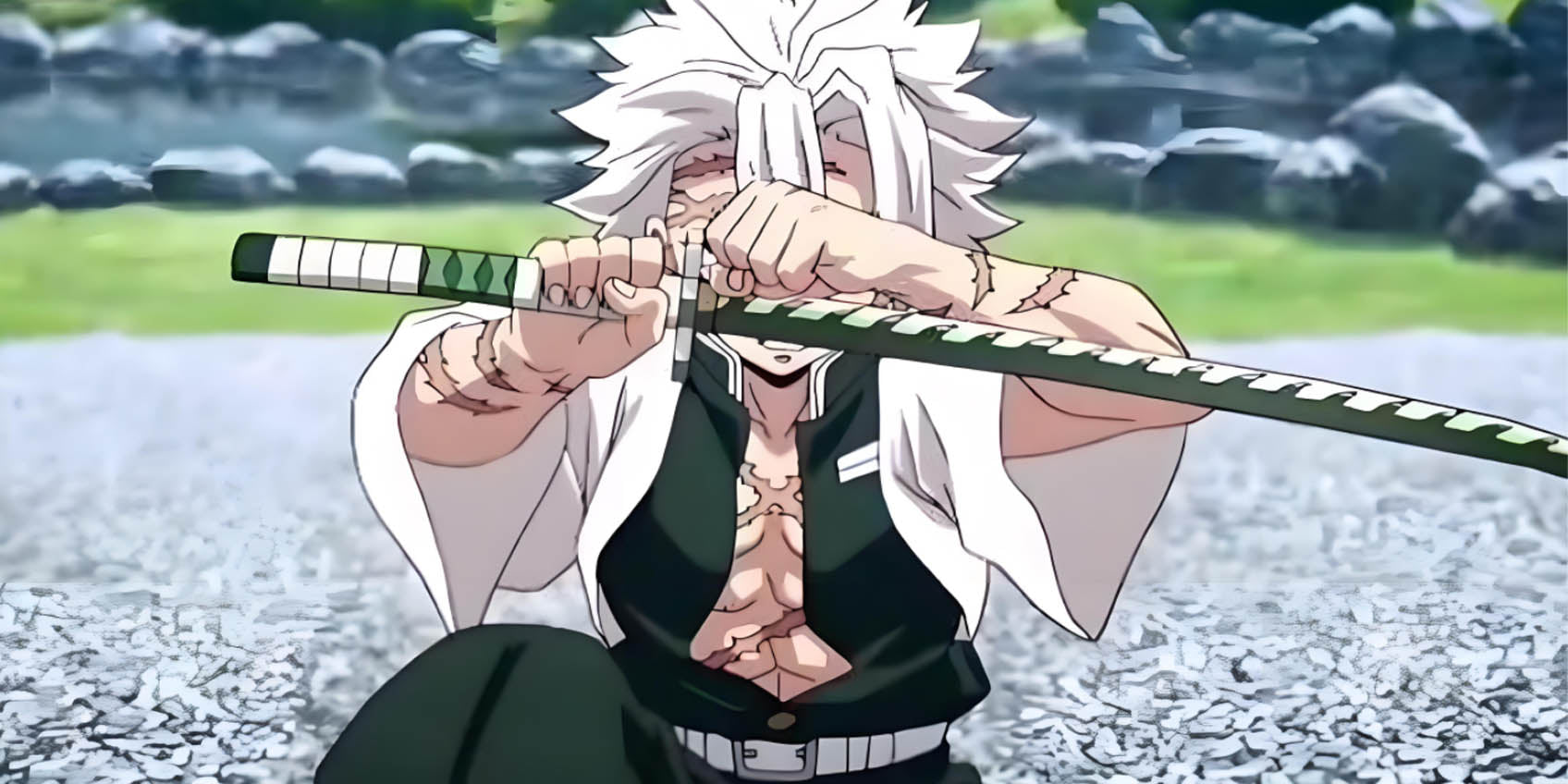 Sanemi Shinazugawa Wind Hashira Facts Powers and Story Guide