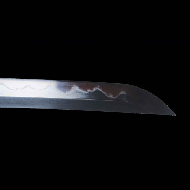 One Piece Roronoa Zoro Shusui Katana Sword Hand Forged Folded Steel 