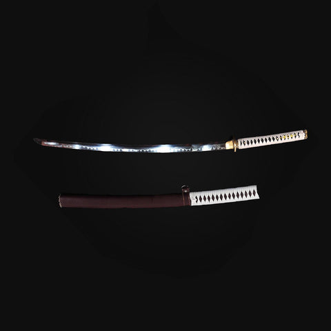 collector display of Walking Dead Michonne katana sword